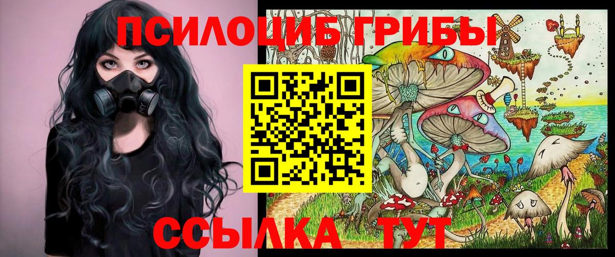 Псилоцибиновые грибы Psilocybe Тихорецк