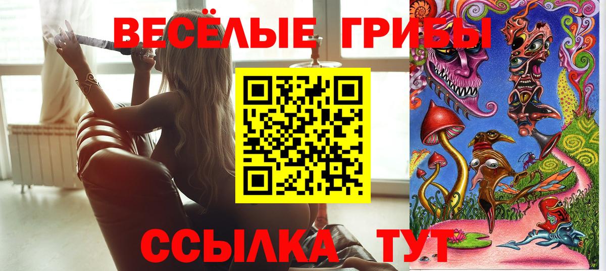 купить   Псилоцибиновые грибы мицелий  Псилоцибиновые грибы GOLDEN TEACHER  Вход с VPN  Тихорецк 